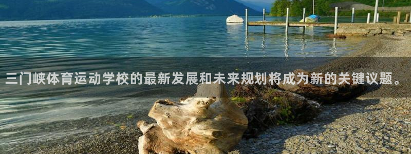 雷速和光速哪个快：三门峡体育运动学校的最新发展和未来规划将成为新的关键议题。