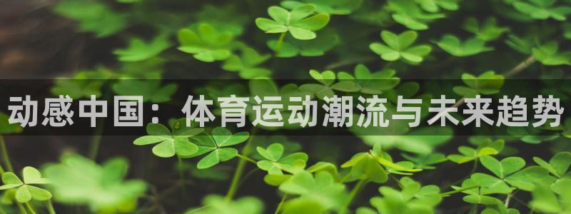 雷速没有指数选项了的原因：动感中国：体育运动潮流与未来趋势
