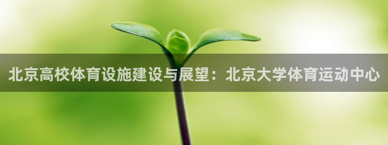 雷速为什么没有指数选项了呢：北京高校体育设施建设与展望：北京大学体育运动中心