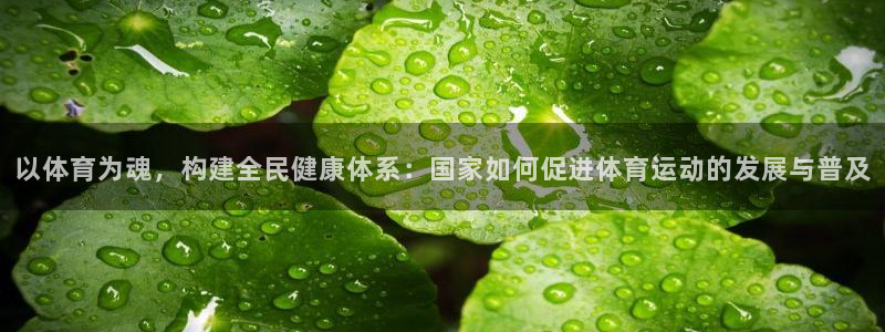 雷速盘口怎么看：以体育为魂，构建全民健康体系：国家如何促进体育运动的发展与普及