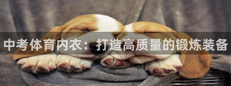雷速球王古德温：中考体育内衣：打造高质量的锻炼装备