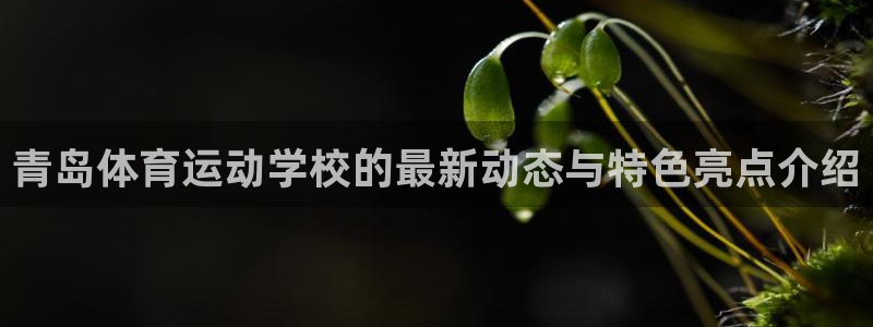 雷速app怎么看不了指数：青岛体育运动学校的最新动态与特色亮点介绍