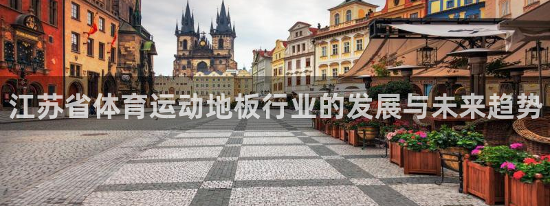 西甲雷速体育：江苏省体育运动地板行业的发展与未来趋势
