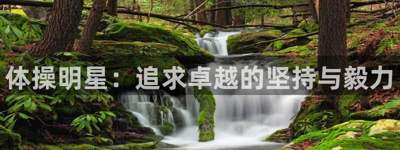 雷速体育app下载安装：体操明星：追求卓越的坚持与毅力