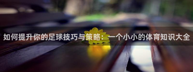 雷速没有指数了怎么办：如何提升你的足球技巧与策略：一个小小的体育知识大全