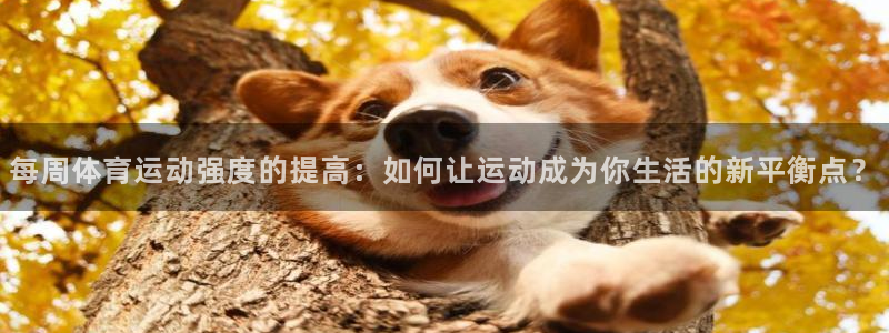 雷速法甲：每周体育运动强度的提高：如何让运动成为你生活的新平衡点？