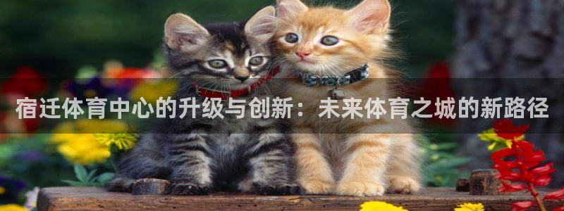 雷速豌豆荚：宿迁体育中心的升级与创新：未来体育之城的新路径