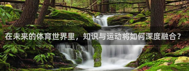 雷速体育网：在未来的体育世界里，知识与运动将如何深度融合？
